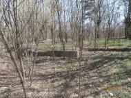 Висока Піч з panoramio.com