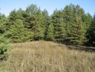 Пришиб з panoramio.com