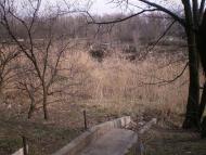 Матвіївка з panoramio.com
