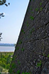 Котовка з panoramio.com