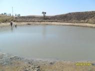 Стрілкове з panoramio.com (ч.2)