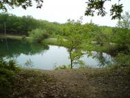 Підгородне з panoramio.com