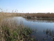 Фалемичі з panoramio.com