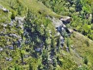 Комарів з panoramio.com