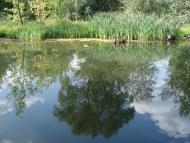 Міусинськ з panoramio.com (ч.2)