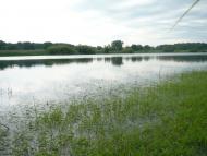 Максаки з panoramio.com