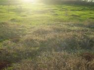 Мішково-Погорілове з panoramio.com