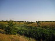 Григорівка з panoramio.com