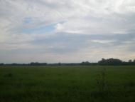 Курган з panoramio.com