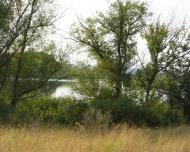 Петро-Свистунове з panoramio.com