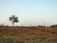 Їжицьке з panoramio.com