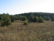 Пришиб з panoramio.com