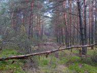 Адамчуки з panoramio.com