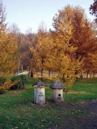 Хотів з panoramio.com