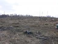 Бедевля з panoramio.com