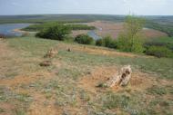 Олександро-Калинове з panoramio.com