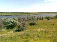 Калинове з panoramio.com