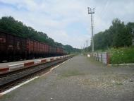 Нігин з panoramio.com