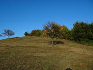 Хмелів з panoramio.com (ч.2)