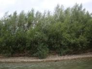 Рудники з panoramio.com