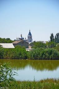 Комінтернівське - Останні фото