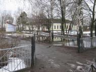 Золотухи з panoramio.com