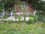 Труд-Гребеник - Последние фото