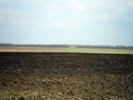 Ванчиківці з panoramio.com