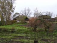 Баничі - Останні фото