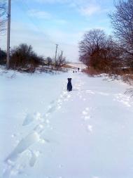 Ракове з panoramio.com