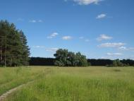 Курган з panoramio.com