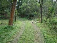 Рудники з panoramio.com