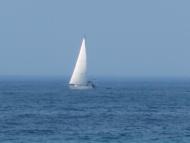 Штормове з panoramio.com