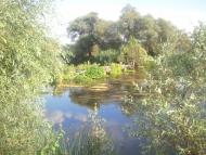 Кам'янка з panoramio.com