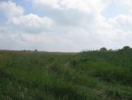 Аркушине з panoramio.com