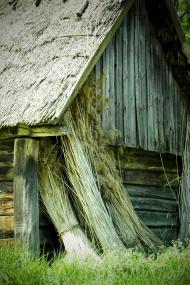 Сваловичі з panoramio.com