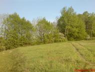 Семигори - Останні фото