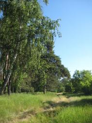 Курган з panoramio.com