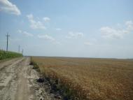 Краснопілка з panoramio.com