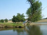 Острожани - Останні фото