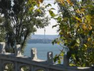 Жовтень 2015 р.