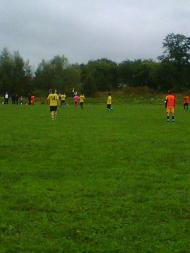 Тулиголови