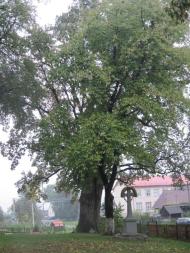 Крайніковський шедевр дерев'яної архітектури