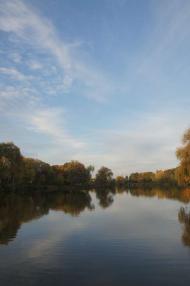 Березне в інтернеті