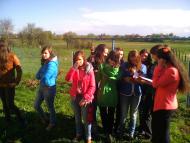 Тулиголови