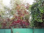 Жовтень 2015 р.