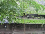 Крайніковський шедевр дерев'яної архітектури