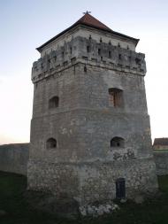 Скалатський замок