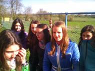 Тулиголови