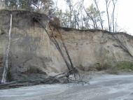 Жовтень 2015 р.